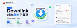 Downlink 插件使用教程
